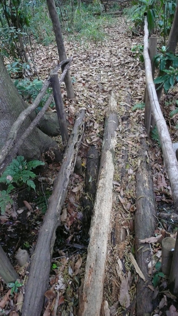 s-P1620851