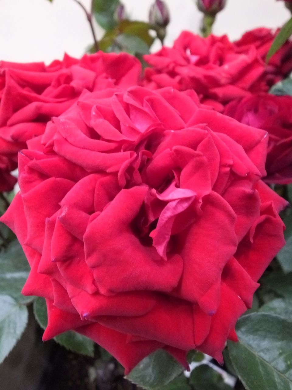 s-DSCF7576