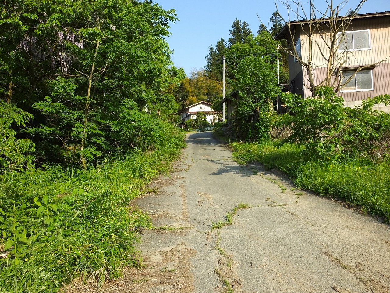 s-DSCF8051