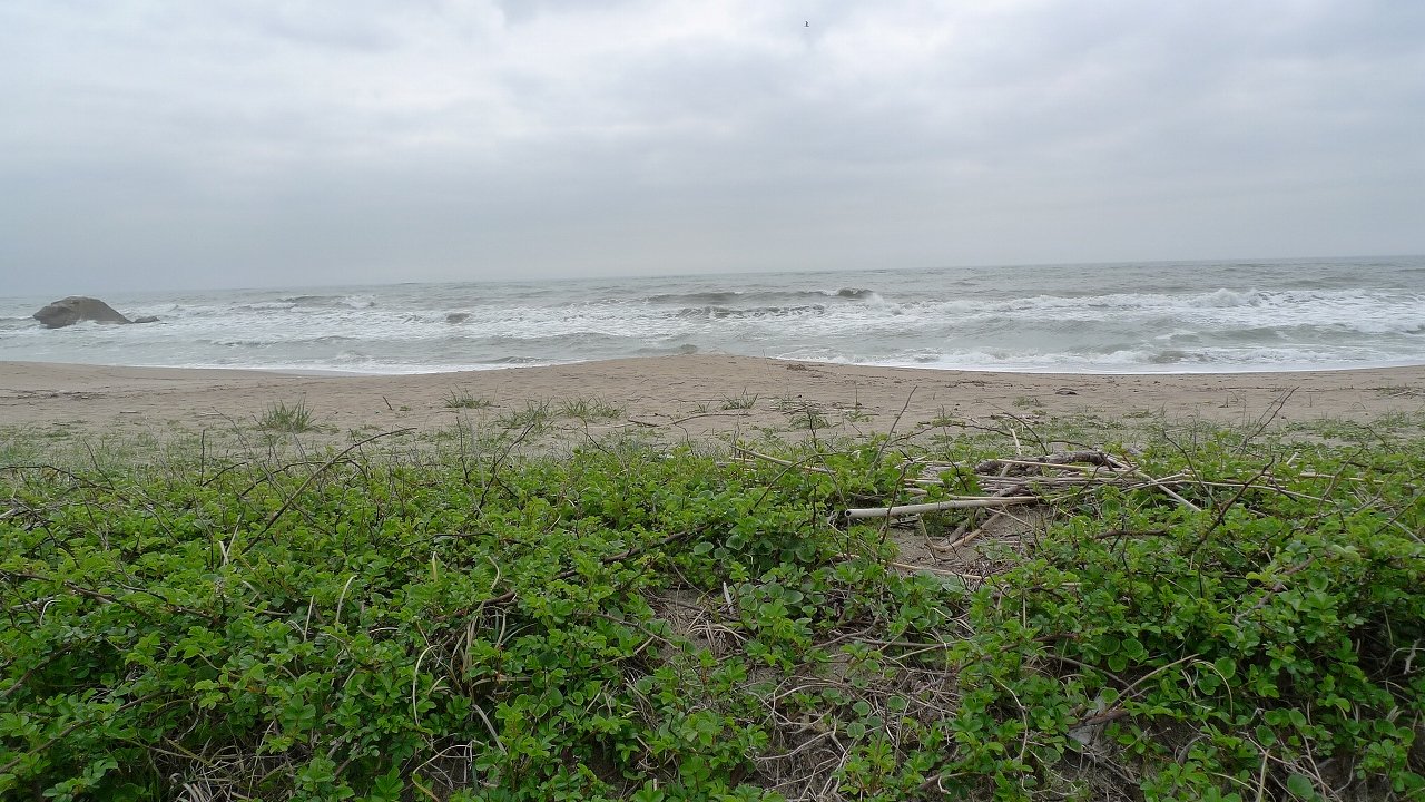 s-P1170249