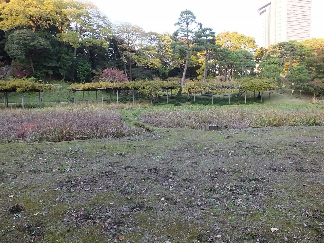 s-DSCF3012