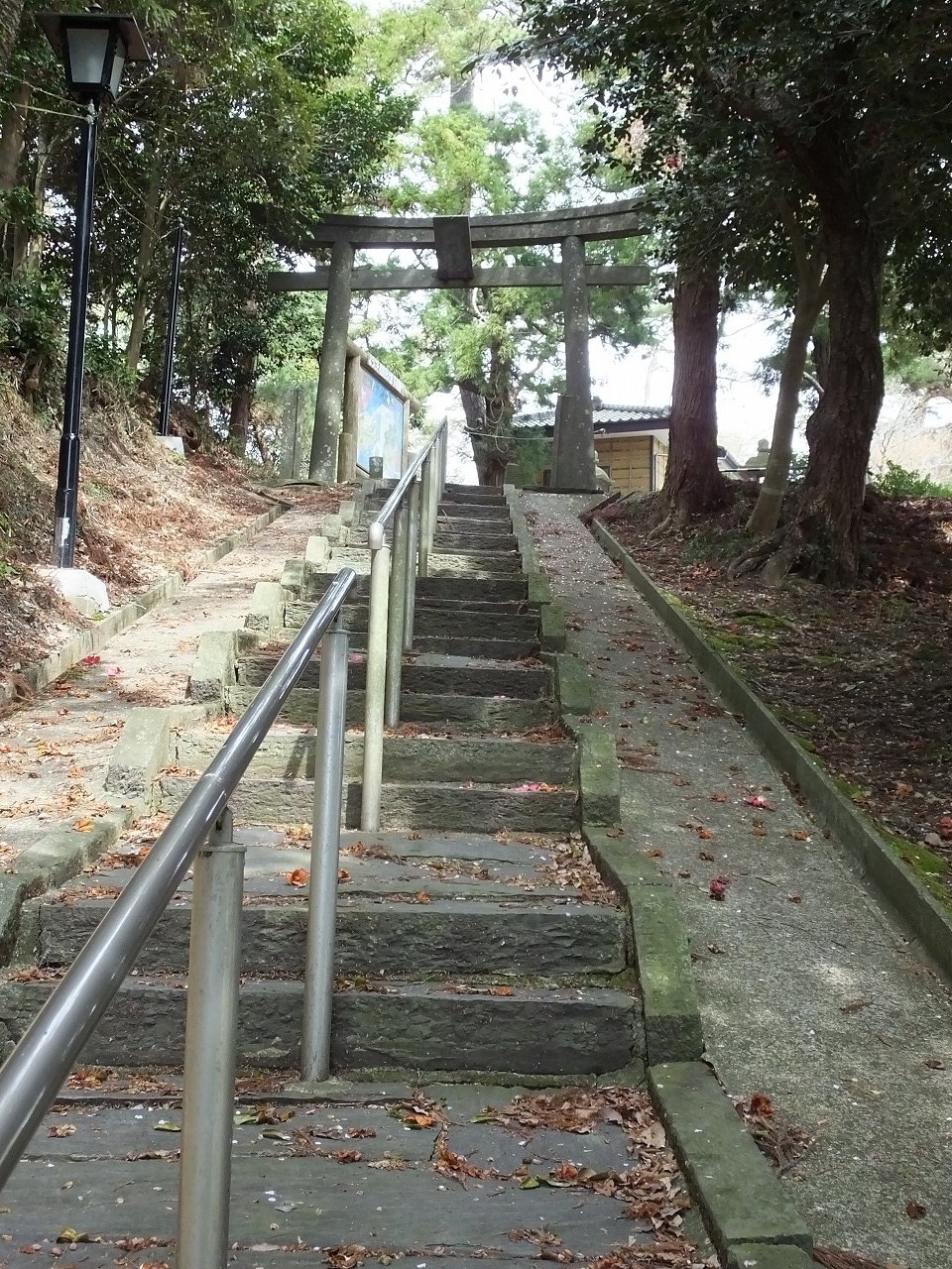 s-DSCF4278