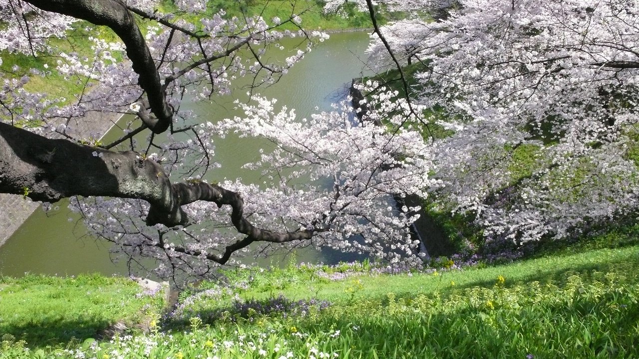s-P1620051