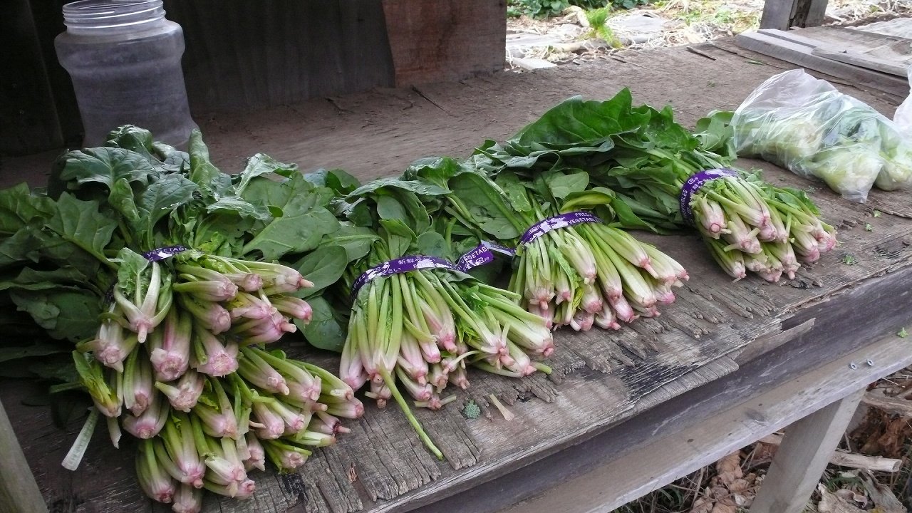 s-P1600967