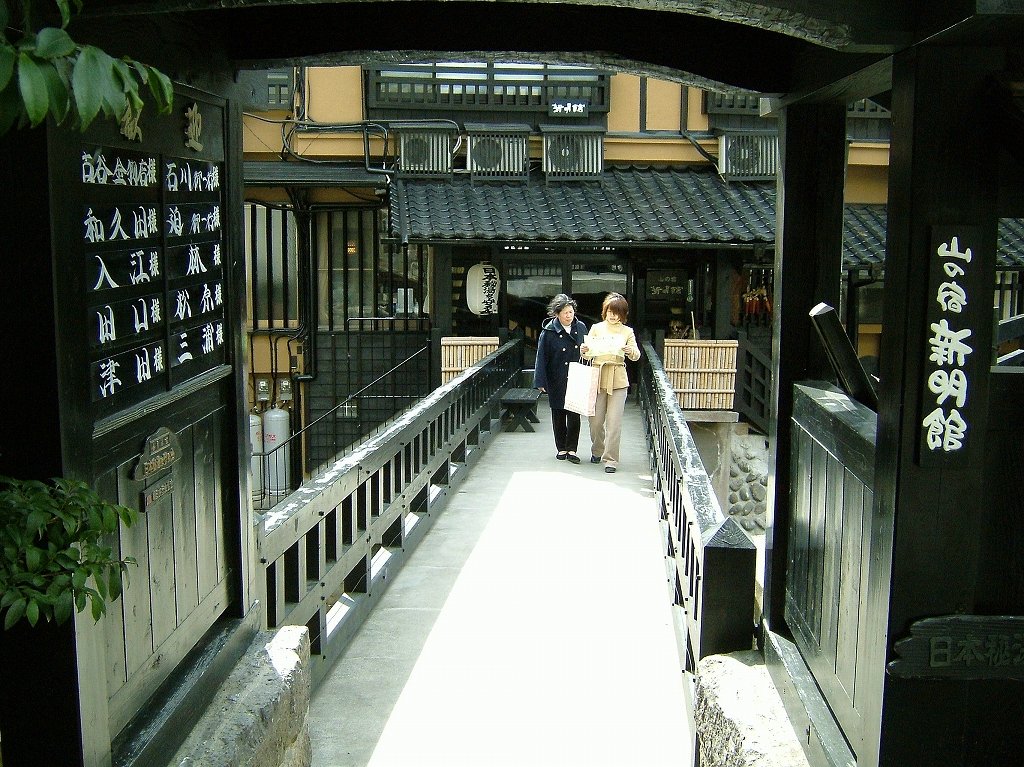 ¹õÀî²¹Àô¡Ê·§ËÜ¡¦°¤ÁÉ¡Ë2005ǯ3·î13Æü