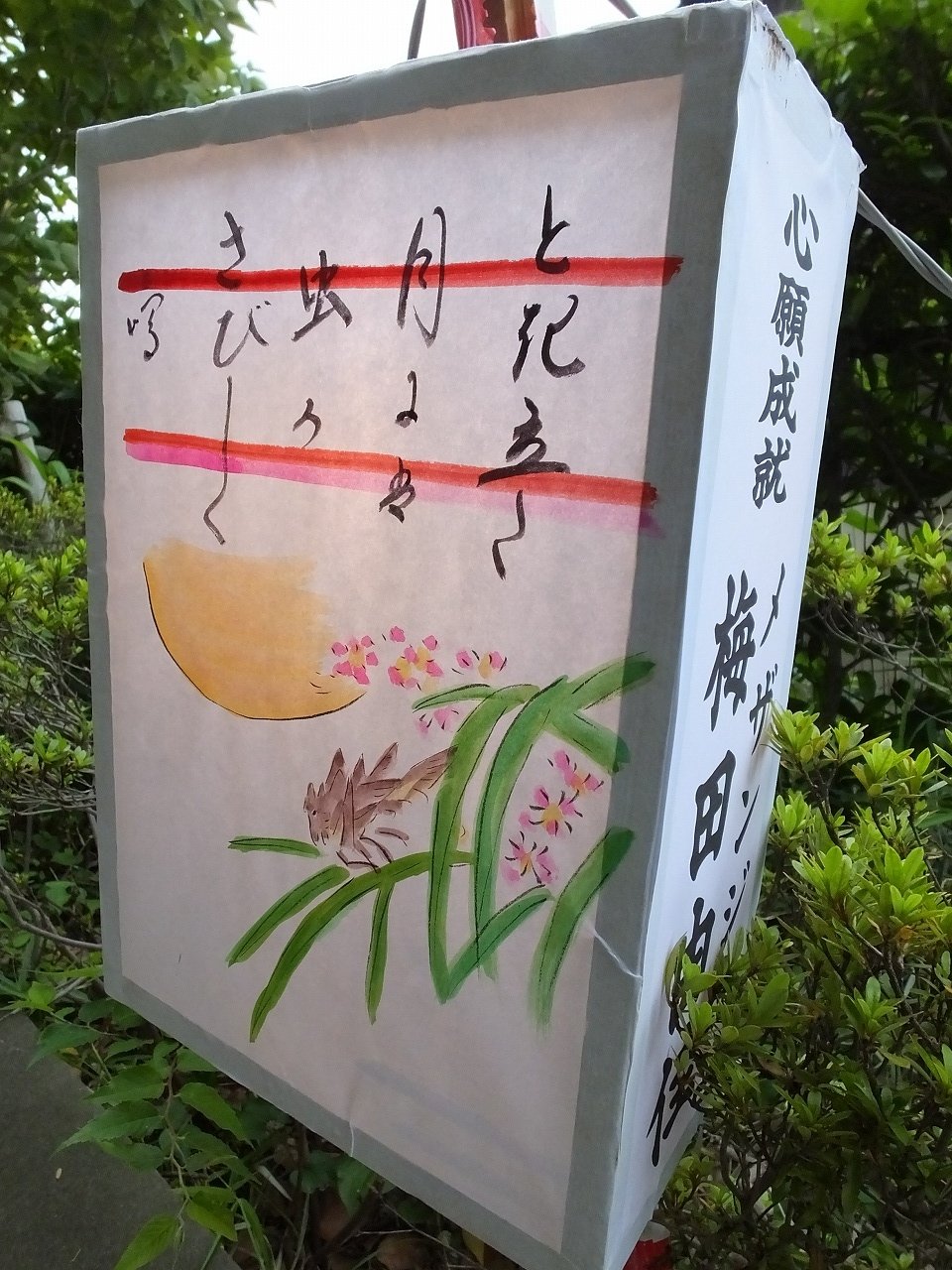 s-DSCF7456