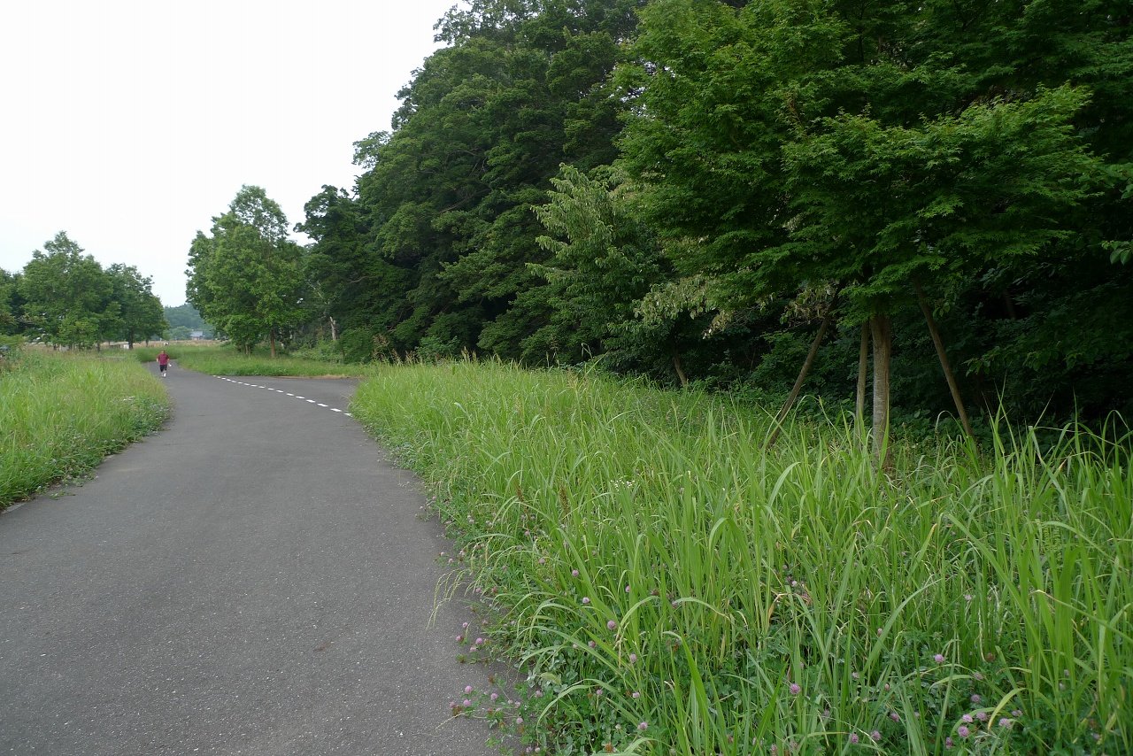 s-P1370515