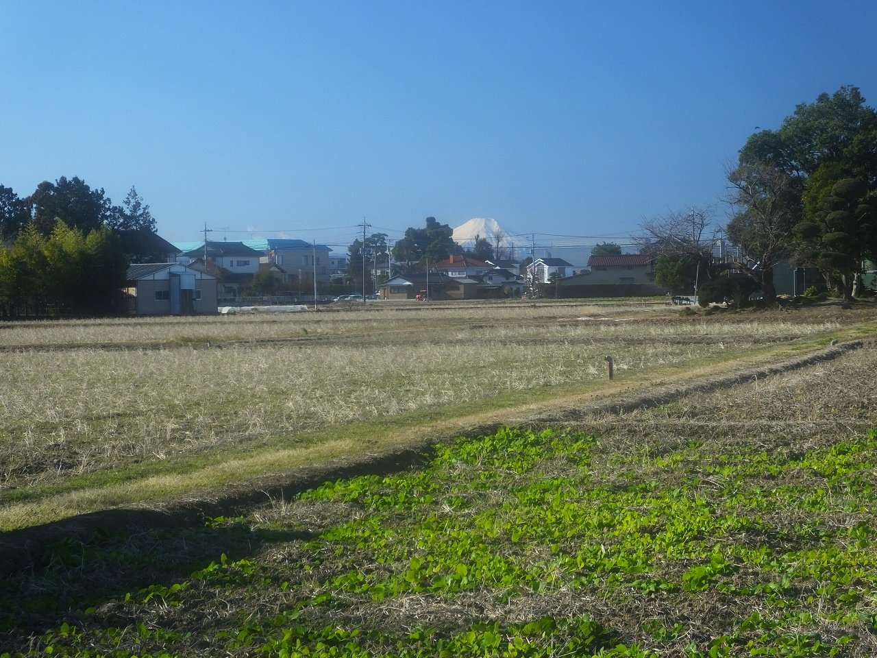s-DSCF1895