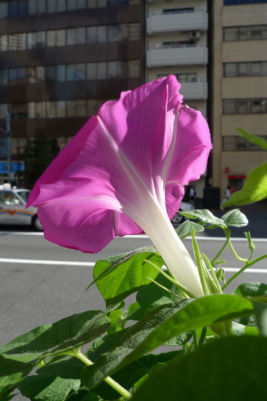 s-P1230461