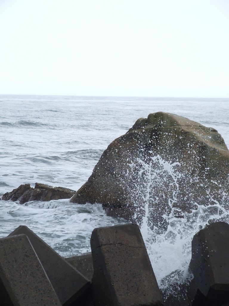 s-DSCF5447