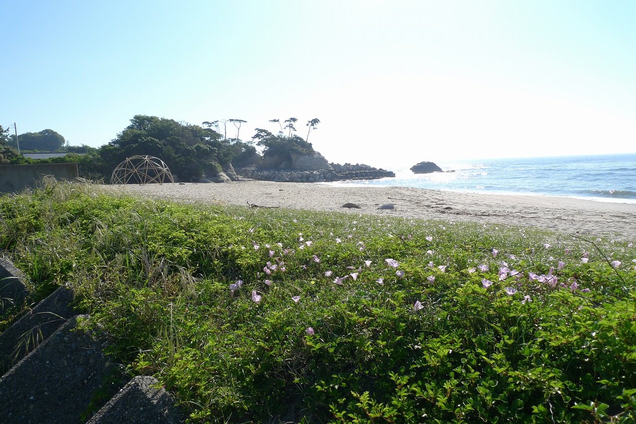 s-P1350899