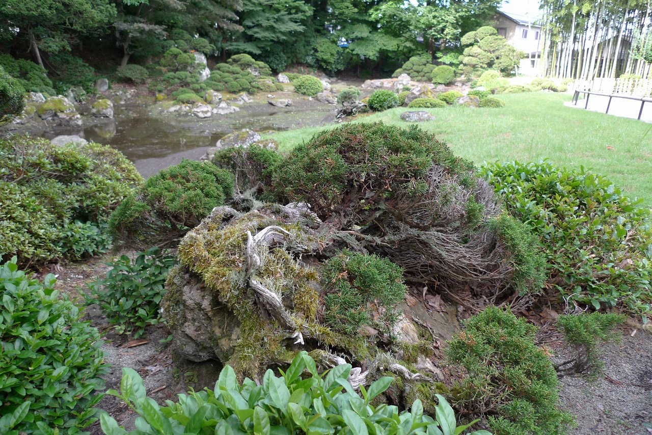 s-P1540609