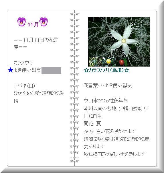 ¥«¥é¥¹¥¦¥ê¤Î²Ö¸ÀÍÕ2