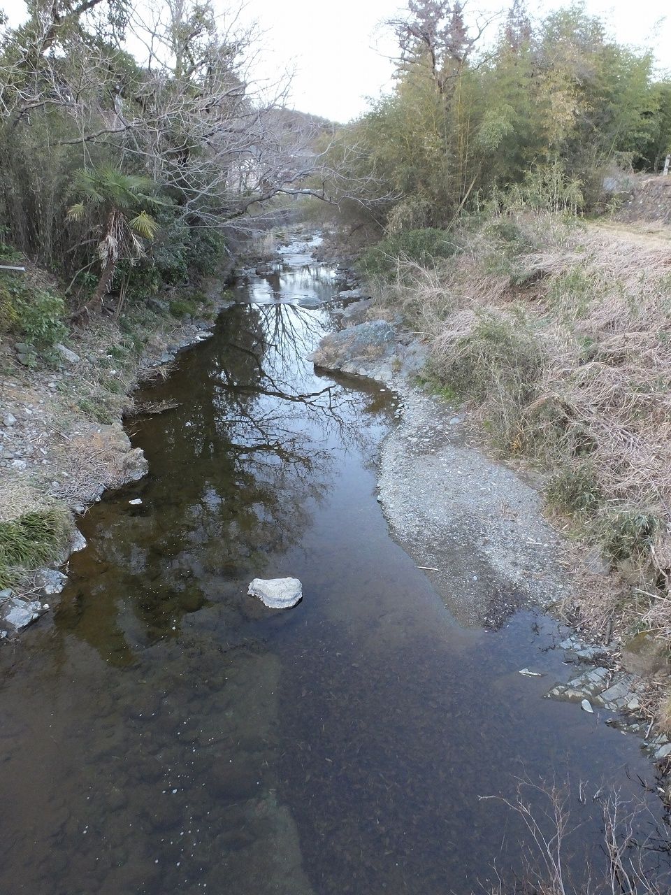 s-DSCF6253