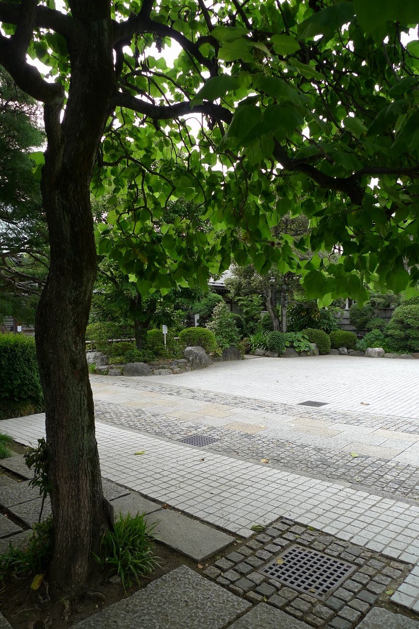s-P1370642