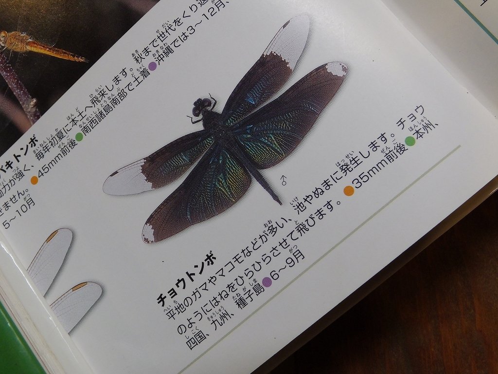 s-DSCF0701