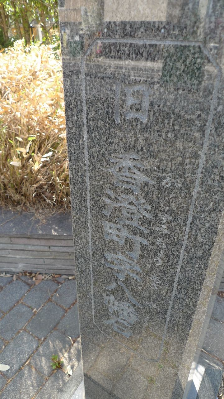 s-P1510193