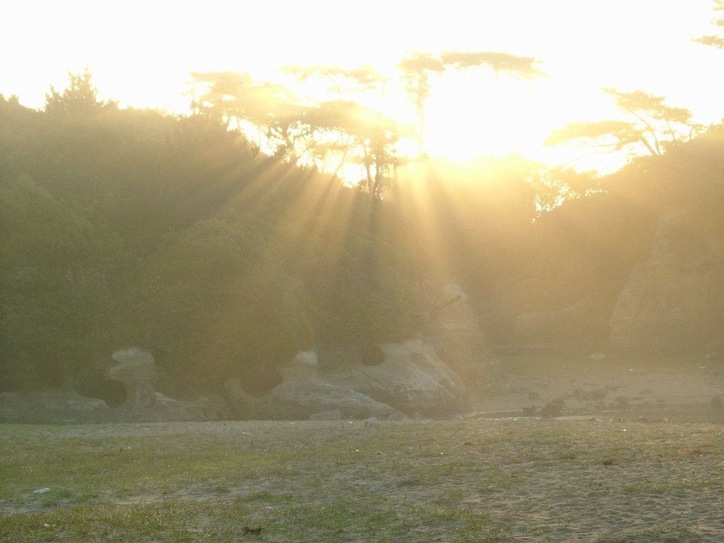 ¤Ï¤¸¤Þ¤ê¡ÊÆüΩ»ÔÂçÅÄ¿¬É͡ˡ§2004ǯ6·î6Æü