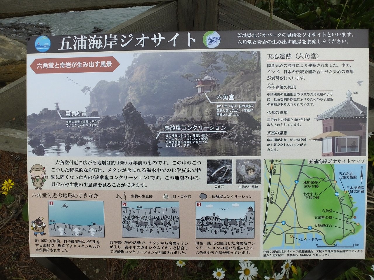 s-DSCF1945