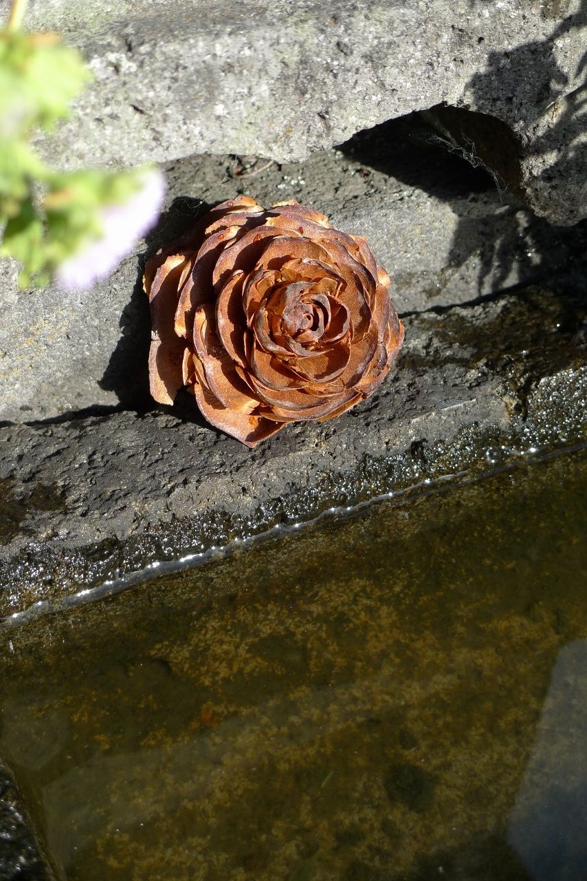 s-P1540472