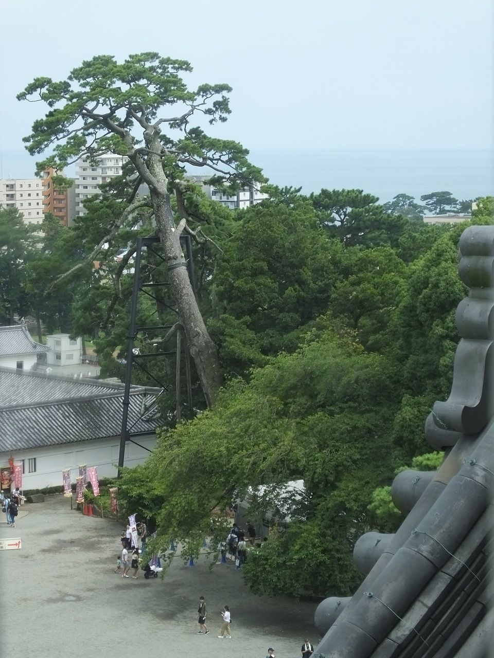 s-DSCF0134