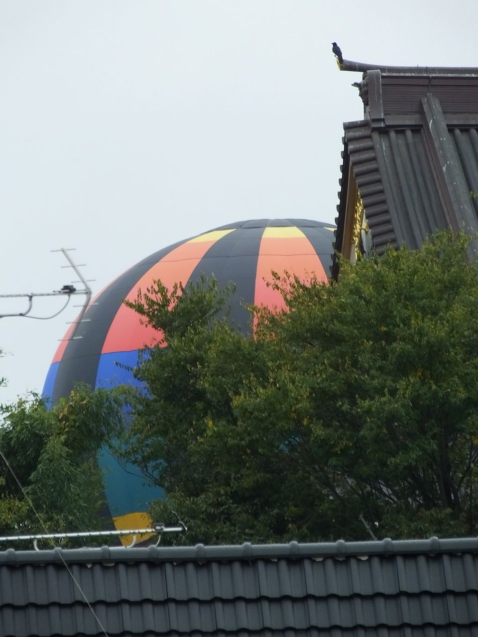 s-DSCF6496