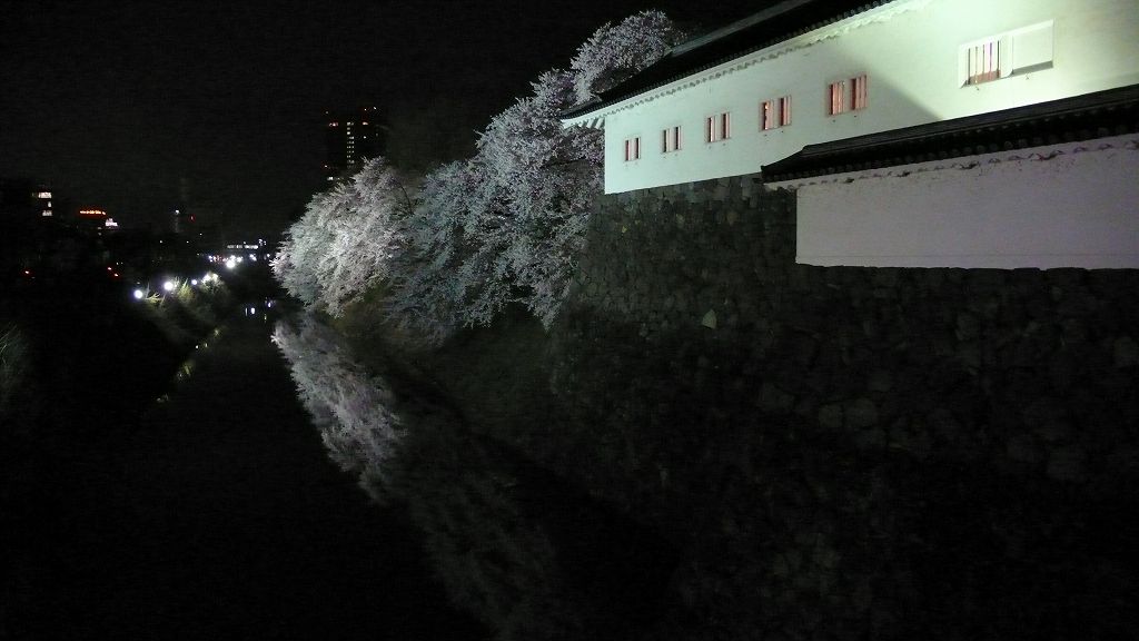²â¾ë¸ø±à¡¦Âç¼êÌç¤ÎÌëºù¡Ê»³·Á»Ô¡Ë