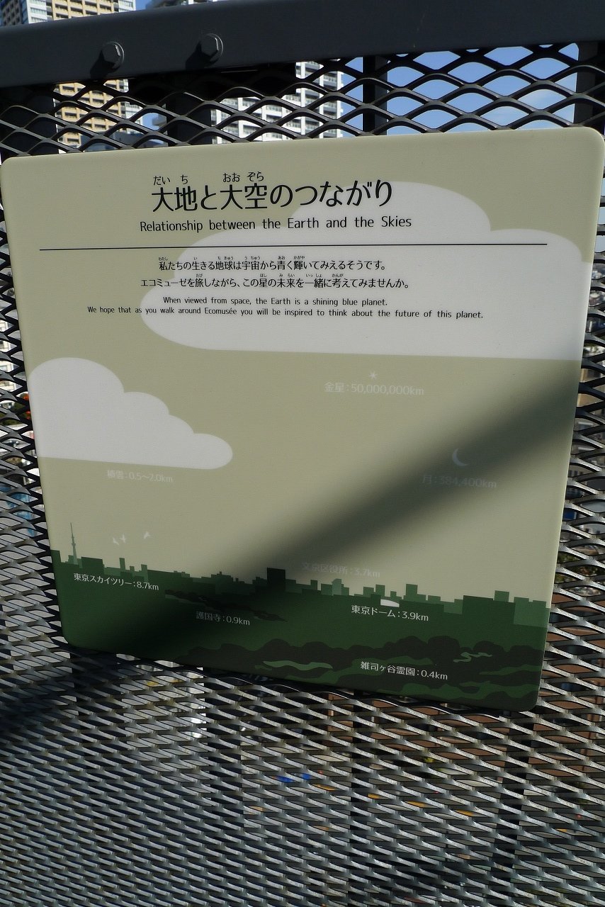 s-P1140300