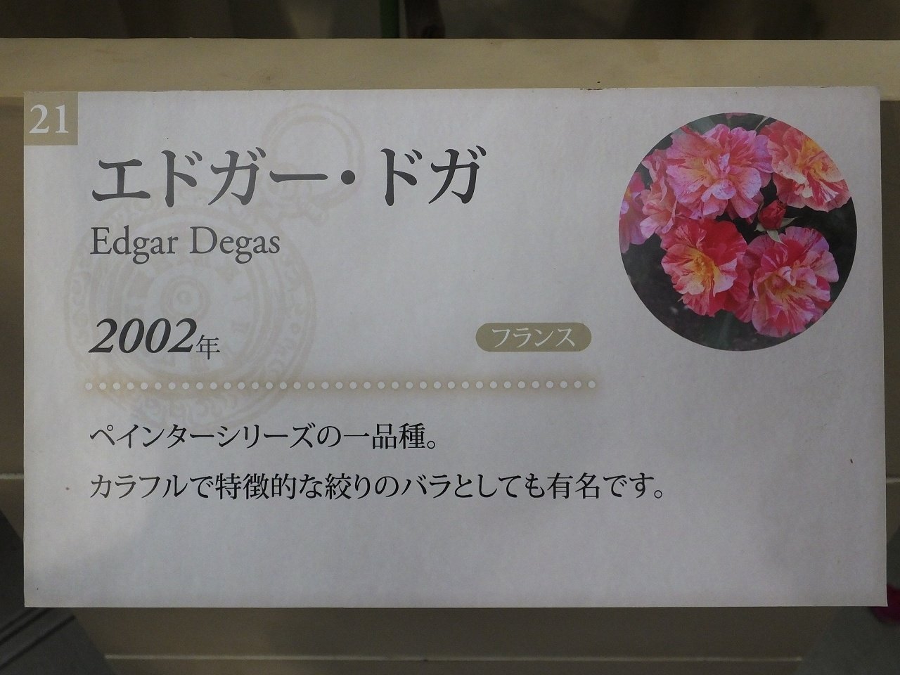 s-DSCF7583