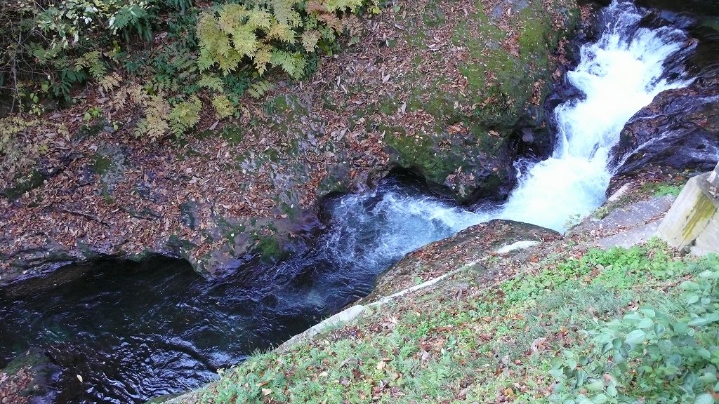 s-P1470232