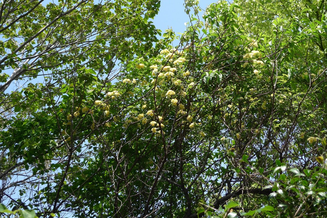 s-P1340863