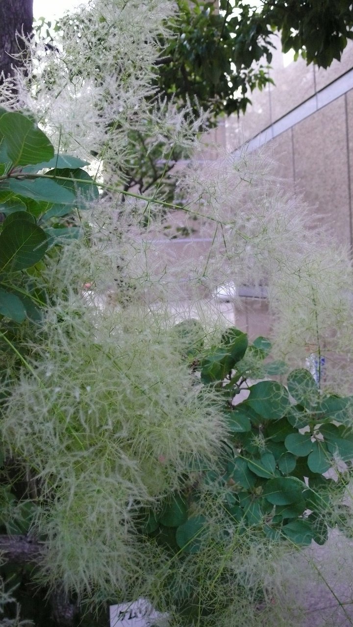 s-P1640535