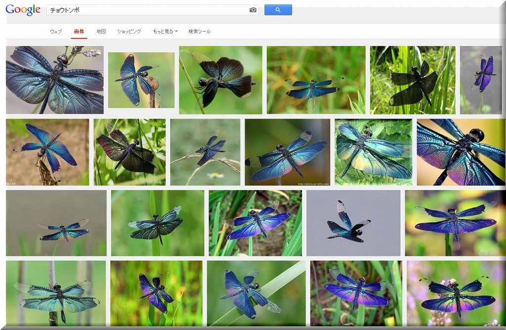 s-Google¡Ö¥Á¥ç¥¦¥È¥ó¥Ü¡×