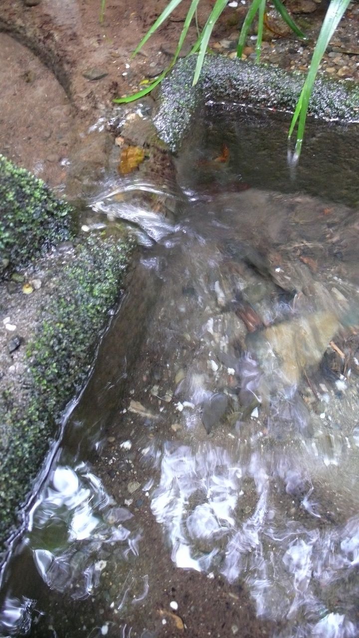 s-P1550106