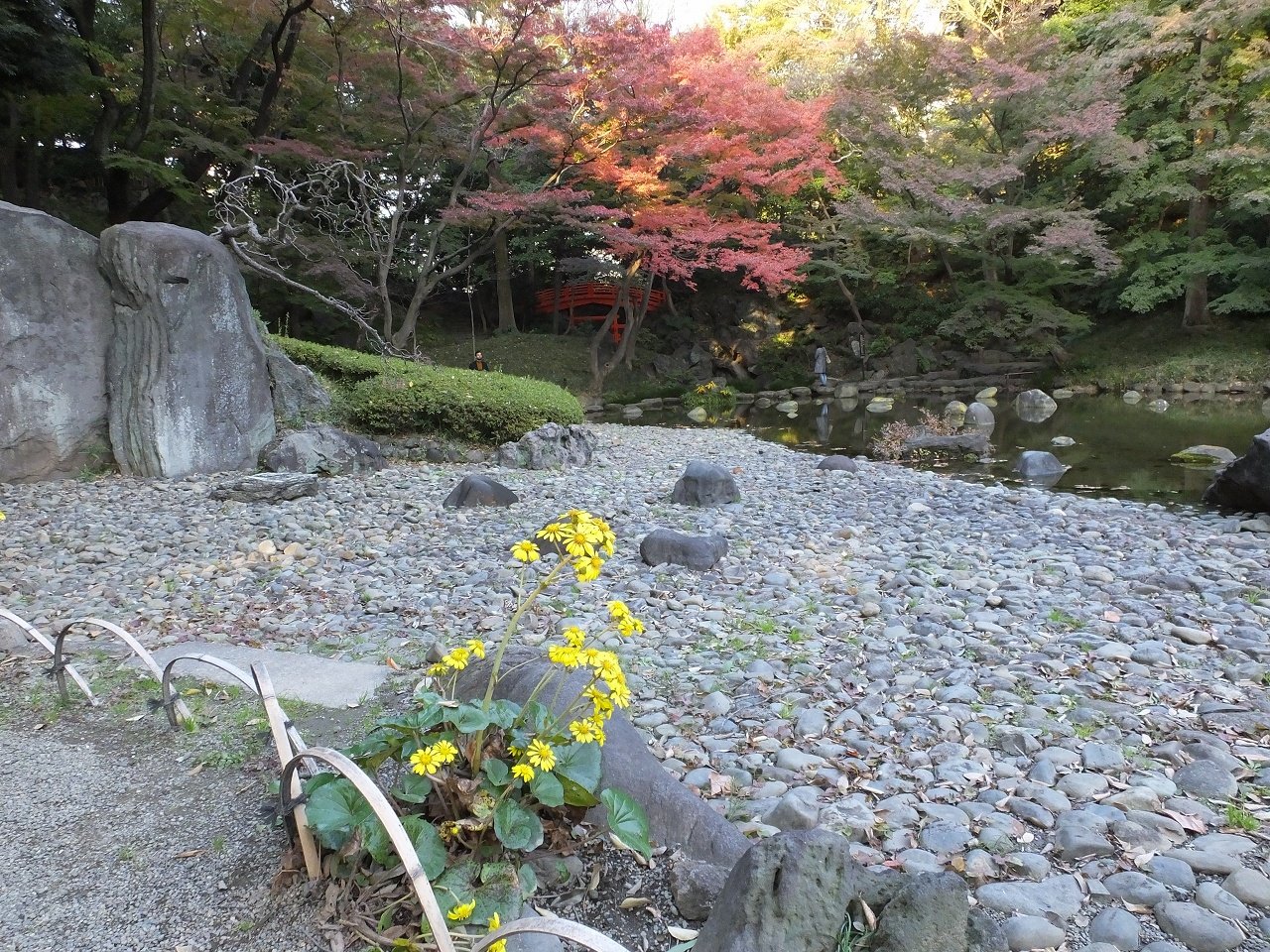s-DSCF2915