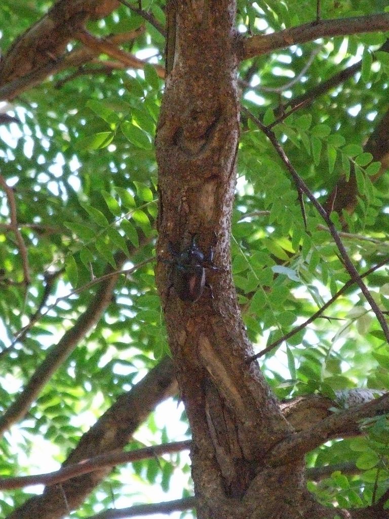 s-DSCF5694