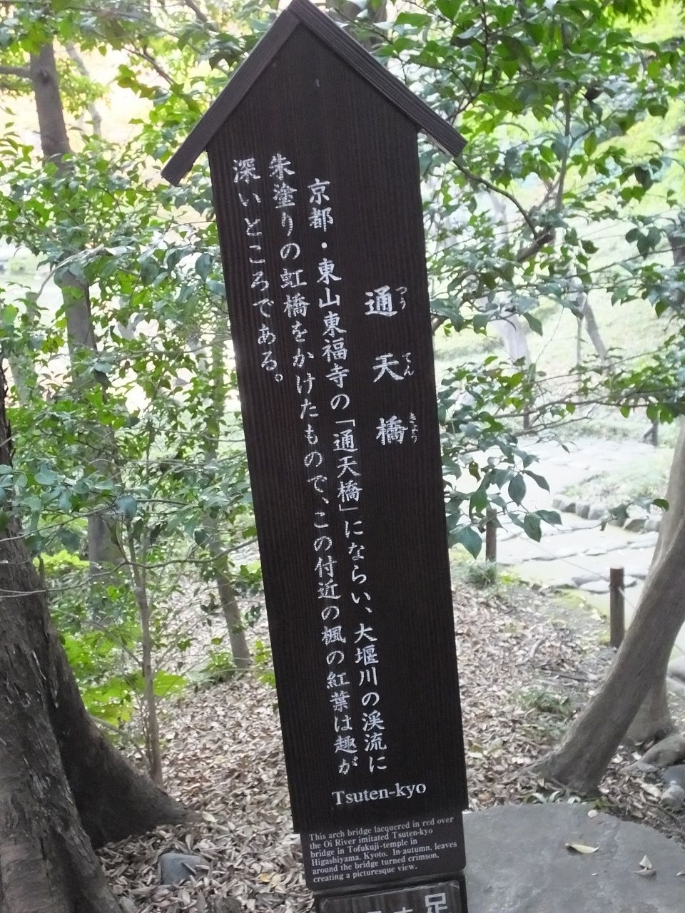 s-DSCF2941