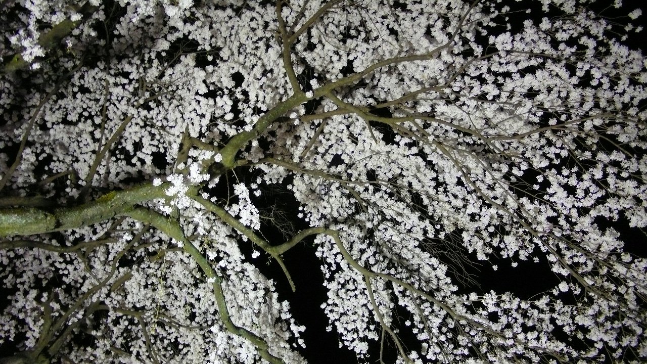 s-P1610950