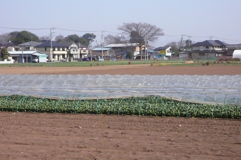 s-P1160064