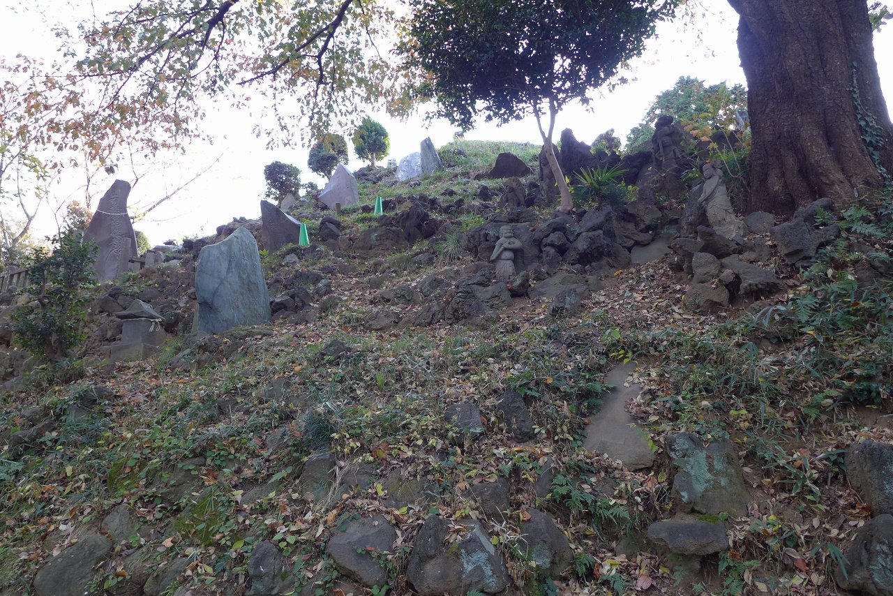 s-P1000559