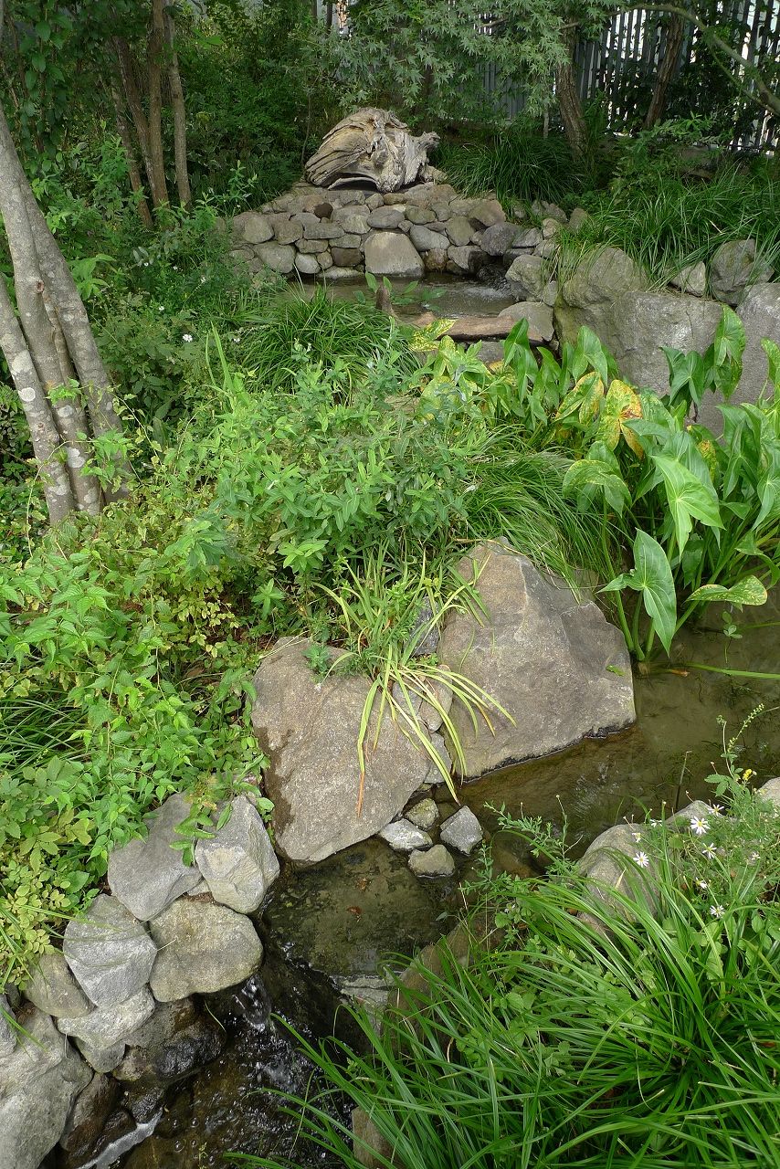 s-P1240354