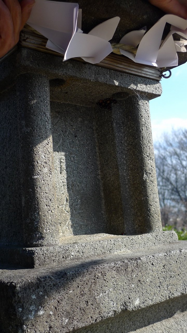 s-P1130594