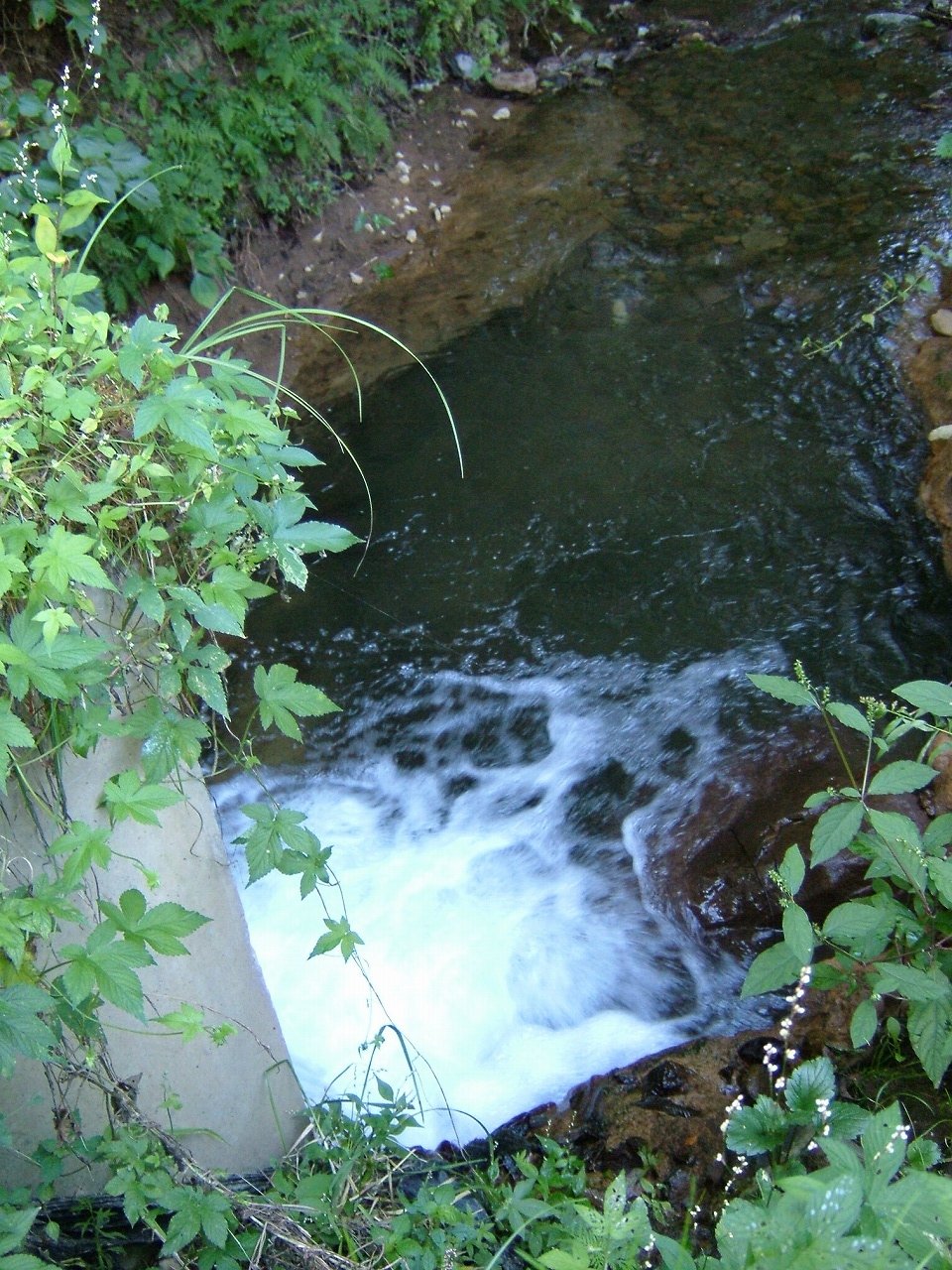 s-DSCF4813