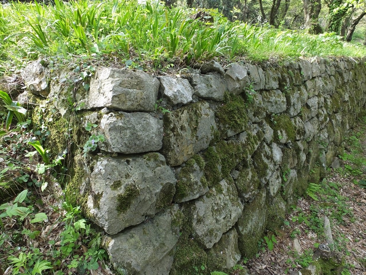 s-DSCF7261