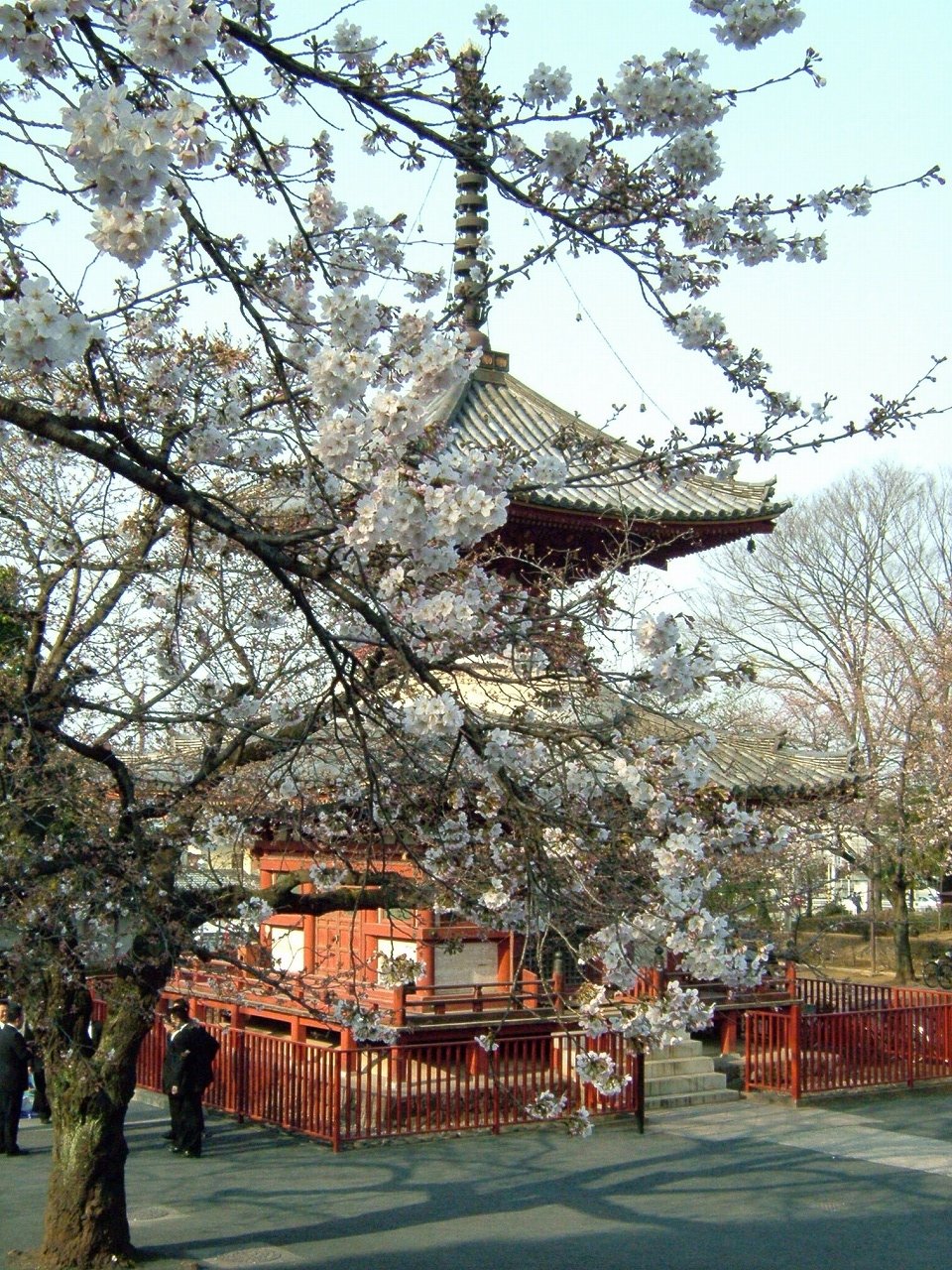s-DSCF7184
