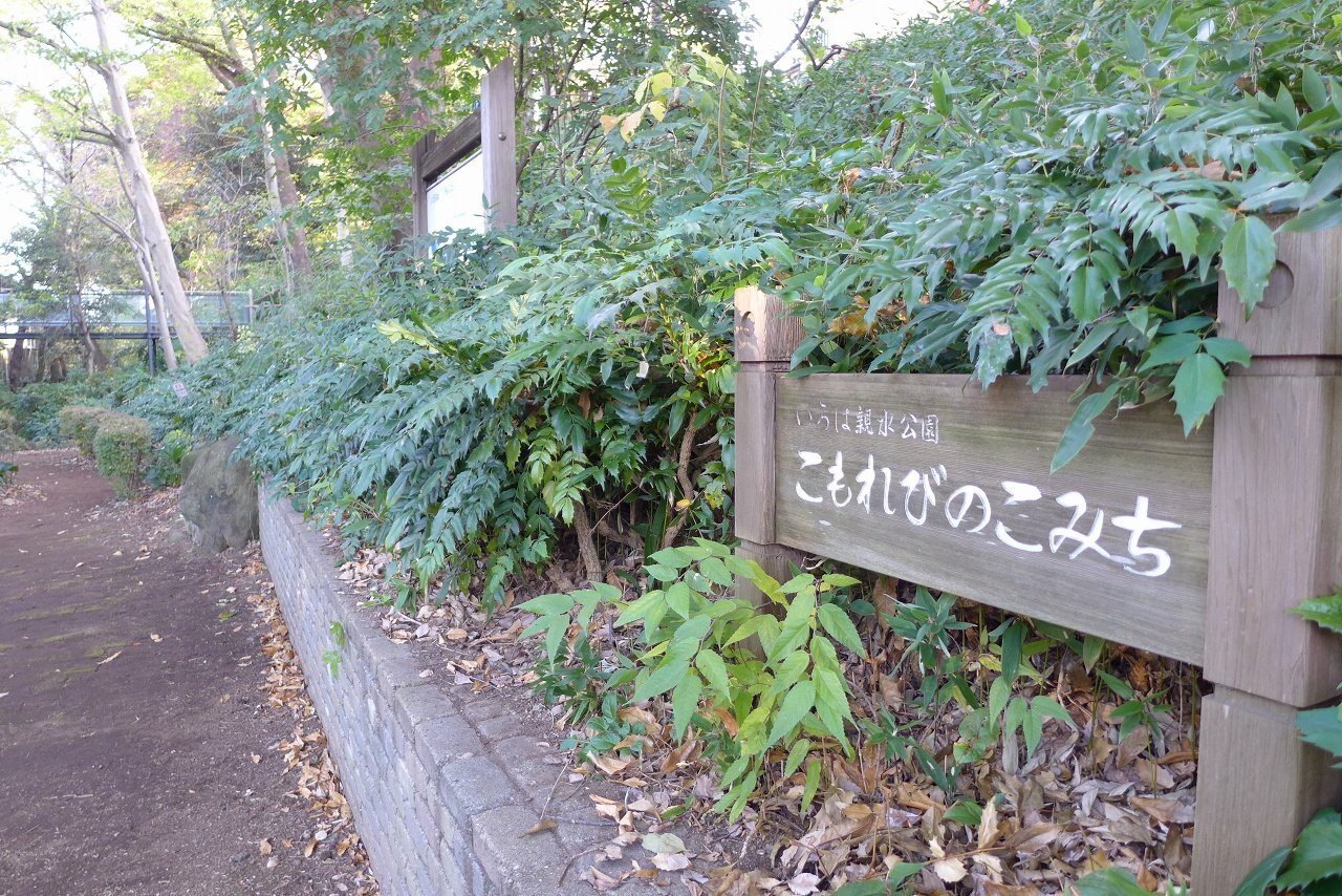 s-P1000564