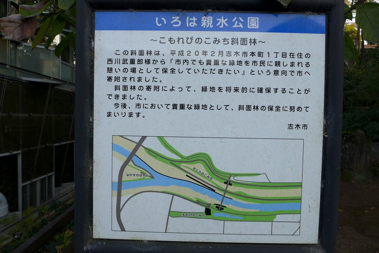 s-P1000563
