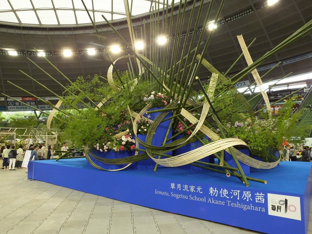 s-DSCF7636