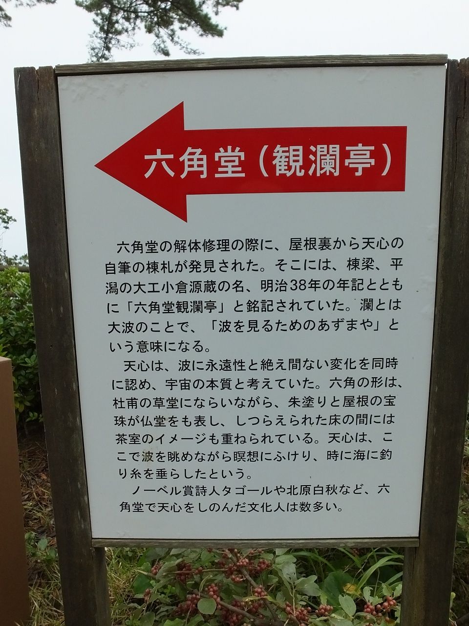 s-DSCF1944