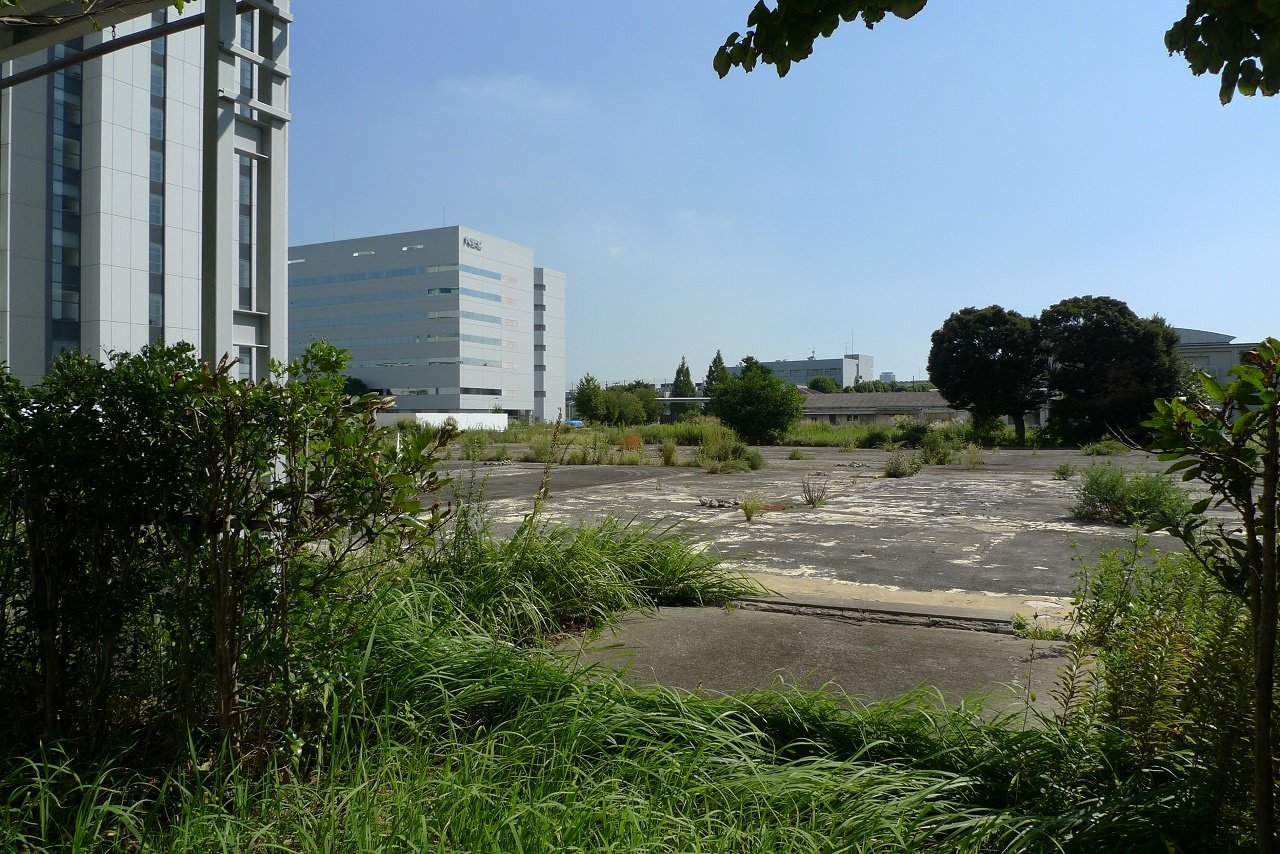 s-P1420318